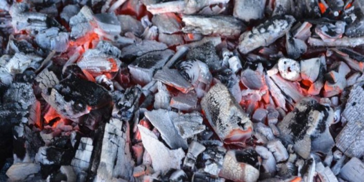 Balık atıklarından plastik üretildi! Merak etmeyin balık kokusu yok...