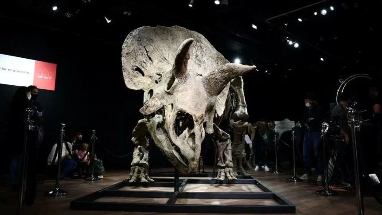 Parası var alıyor adam: Dinozor fosili için 5.5 milyon euro ödedi!