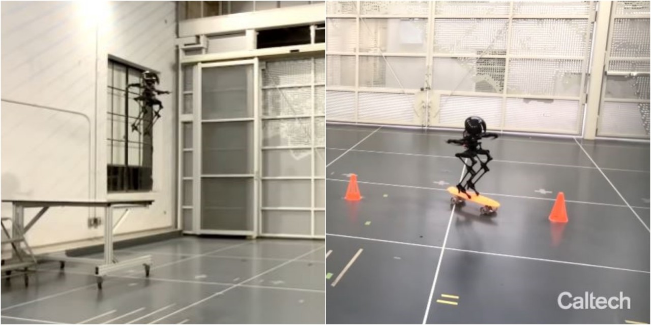 Karşınızda sevimli robot LEO! Uçuyor,  kaykaya biniyor..