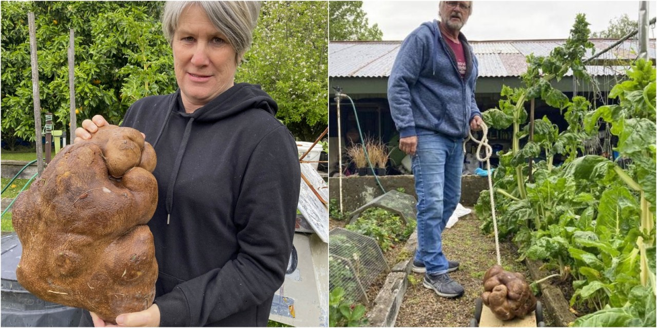 Onun adı Doug! Ve o dünyanın en büyük patatesi...
