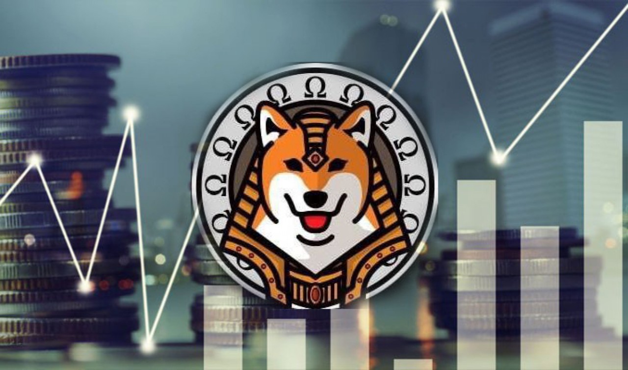 2021 yılında en büyük kripto para vurgunu yapan şirketler! Türkiye birinci sırada...