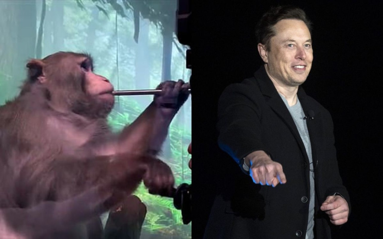 Elon Musk'ın Neuralink beyin çipi testine giren 15 maymun öldü!