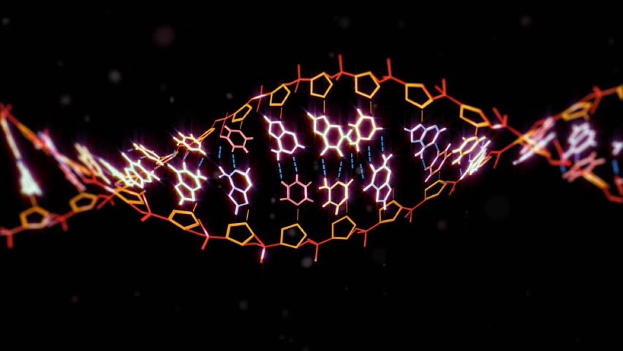 Maddenin beşinci hali "bilgi" mi? O deney başarılı olursa...