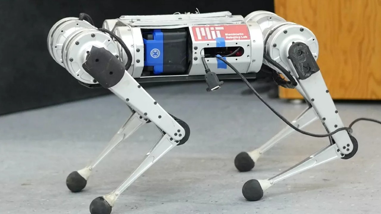 MIT'den kendi kendine öğrenen robot çita: hem hızlı hem çevik - VİDEO