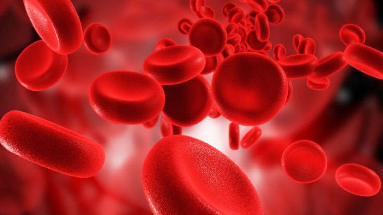 Kan grupları kalp sağlığını mı etkiliyor? Kan grubunuza göre risk faktörleri!