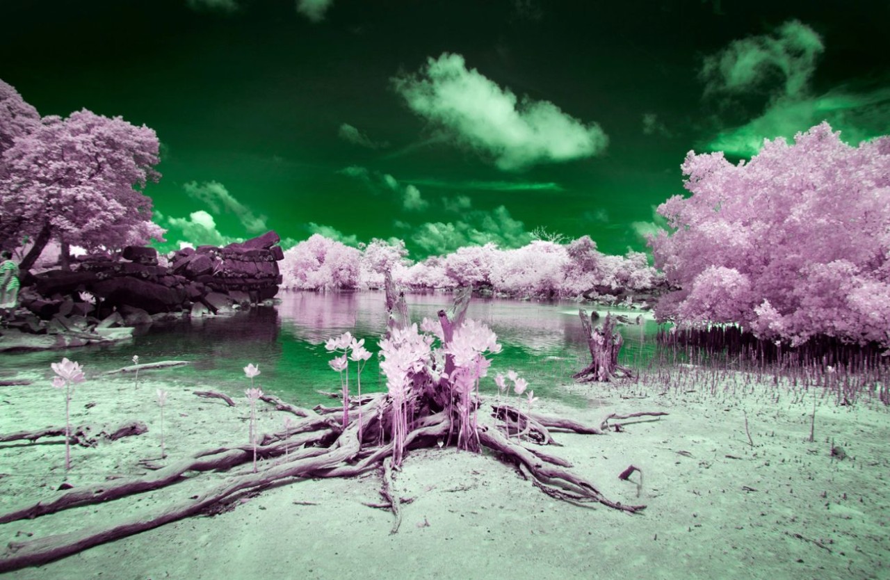 Bu adada yaşayanların yüzde 10'u sadece siyah ve beyaz rengi görebiliyor!