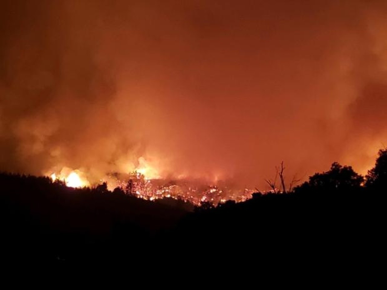 Nesli tükenmekte olan 12 akbabayı öldüren Dolan yangını faili hapse girdi!