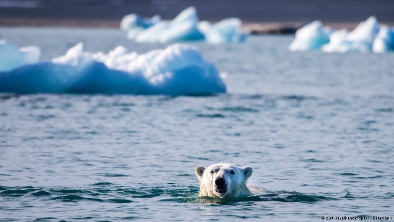 Okyanuslar en asidik ve sıcak seviyelerine ulaştı!