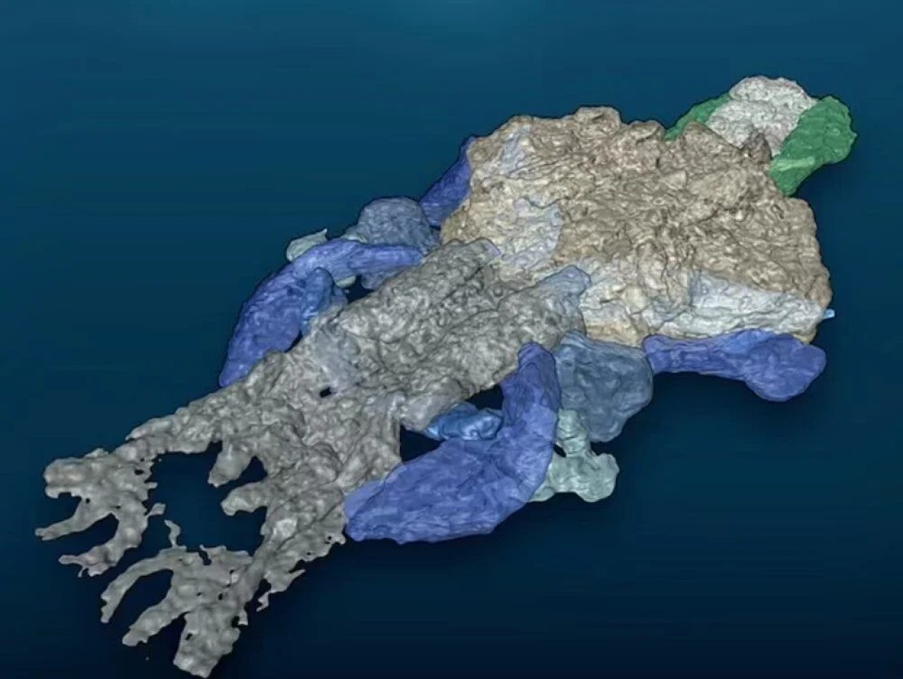 Keşfedilmiş en eski omurgalı: Tam 390 milyon yaşında!