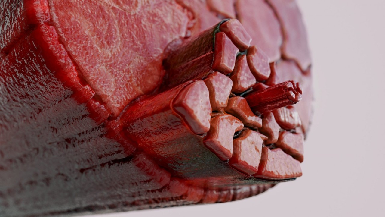 Kas hareketlerini taklit edebilen yeni bir lif türü üretildi!