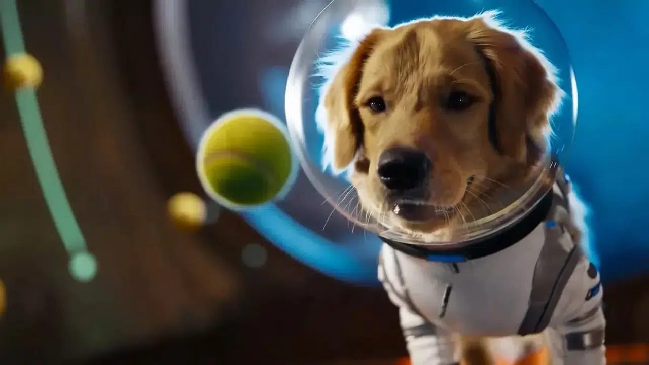 OpenAI, Sora Uygulamasını ve Yeni Sora 2 Modelini Tanıttı