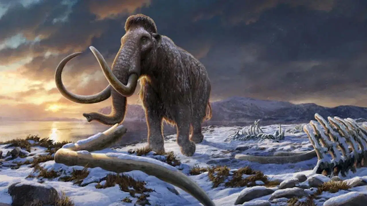 Haber Kapak Görseli