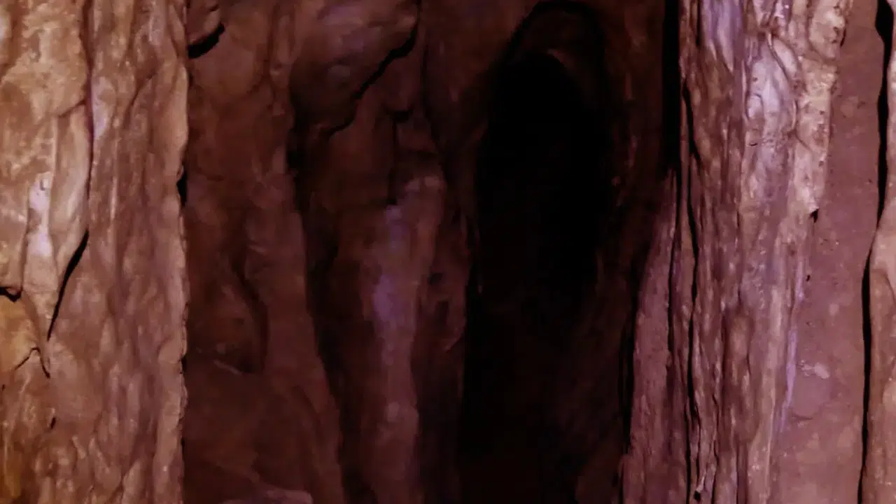 Suudi Arabistan'daki Mağaralarda Bulunan Mumyalanmış Yaratıklar, Geçmişin İzlerini Ortaya Çıkarıyor