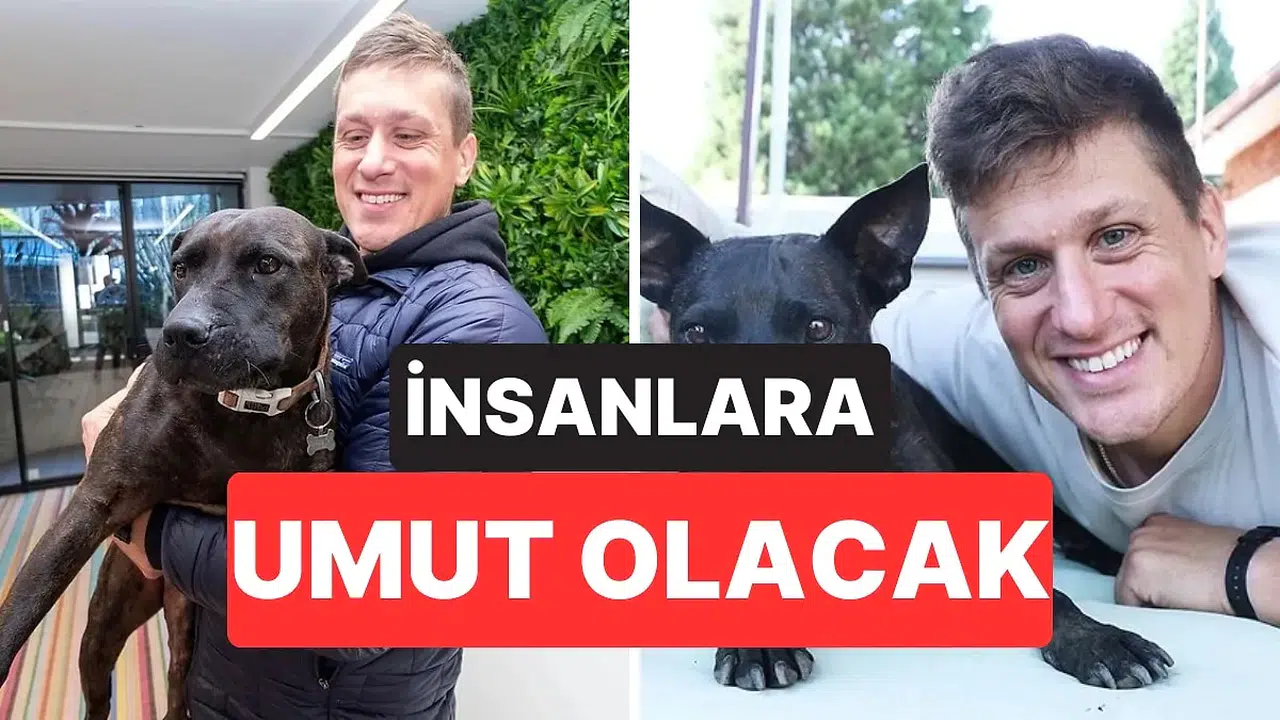Yapay Zeka Destekli Kişiselleştirilmiş Kanser Aşısı, Köpeklerde Umut Veriyor Mu?