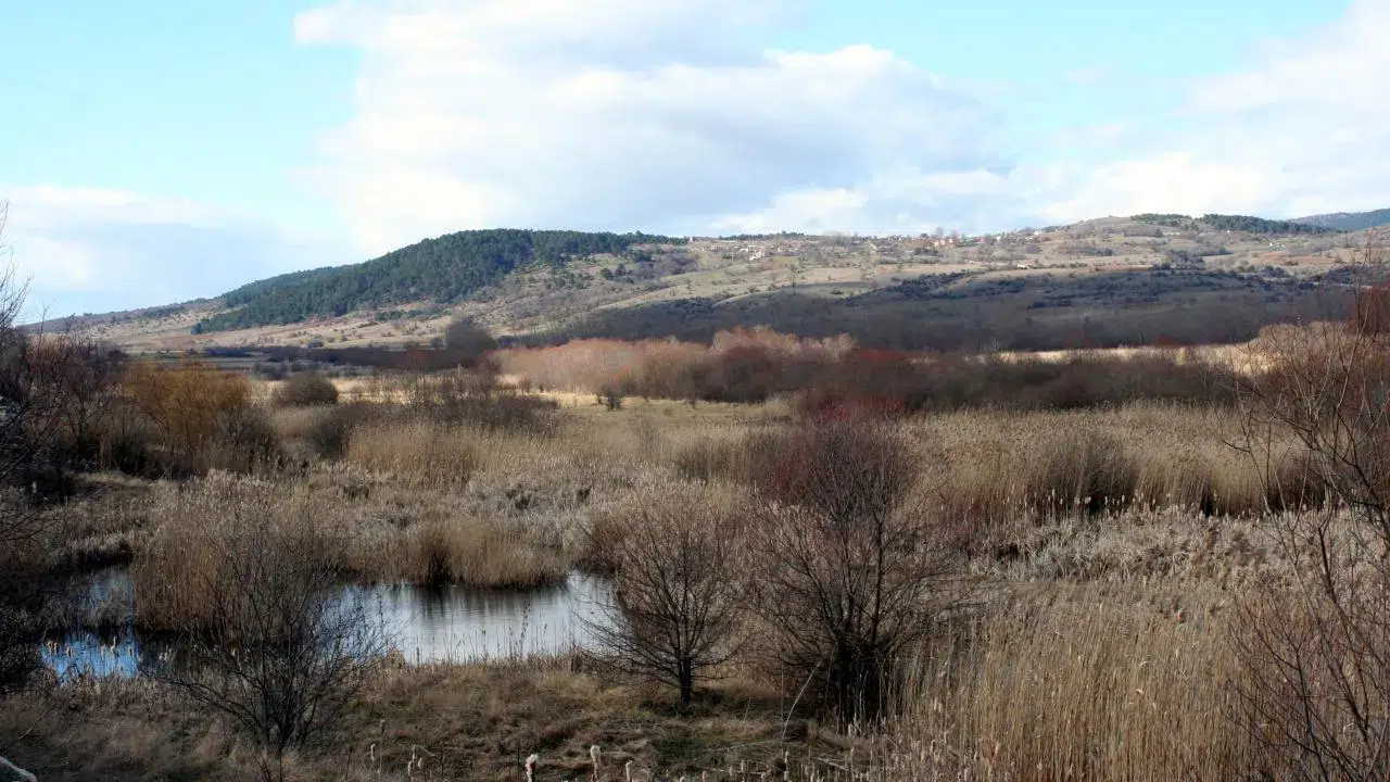 Tarımsal Drenaj Uygulamaları Turbalıkları Karbon Kaynağına Dönüştürüyor Mu?