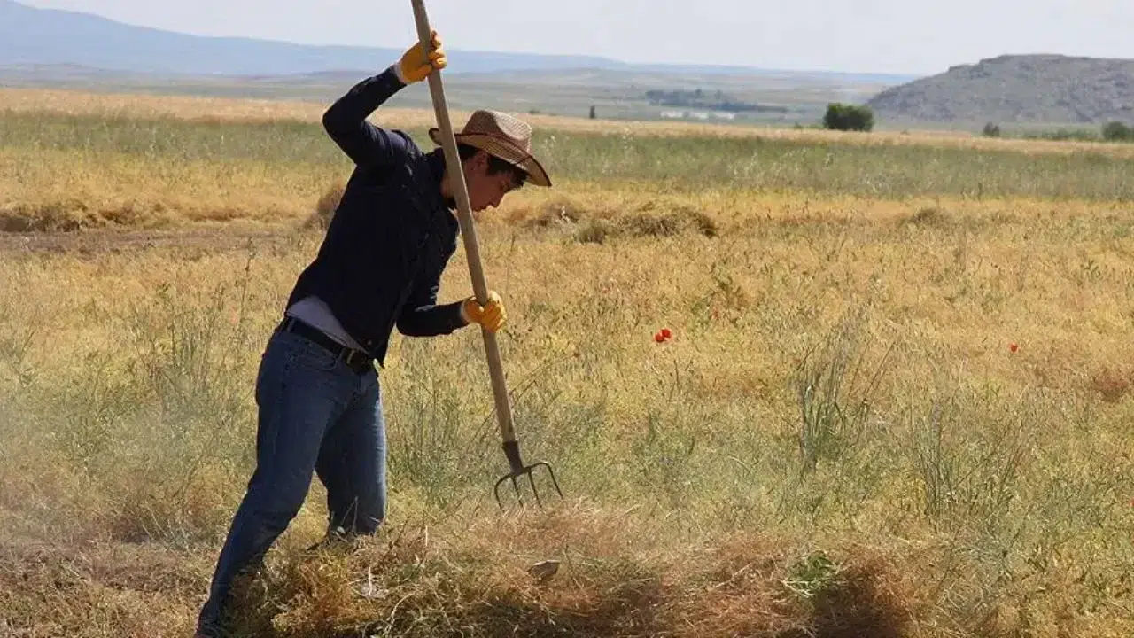 Tarlada dijital devrim: John Deere'den çiftçinin yükünü hafifletecek yapay zeka