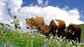 Karadeniz Yaylalarında 5G Çeker mi? Gerçek Kullanım Senaryoları