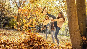 Doğanın kış hazırlığı: Ağaçlar neden yapraklarını döküyor?