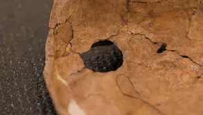 Neandertallerin karanlık geçmişi: 75 bin yıllık mızrak izi şiddetin en eski kanıtı olabilir
