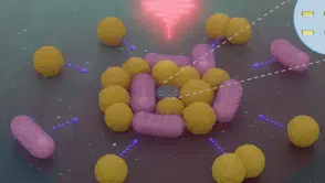 Bilim dünyasında devrim: Işıkla kontrol edilen nanorobotlar bakterileri avlıyor