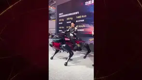 Pekin'de tanıtılan yapay zekalı robot at: 300 kilo yük taşıyabiliyor