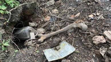 Evin bahçesinde bulunan insan kemiklerinin sorumlusu porsuklar çıktı!