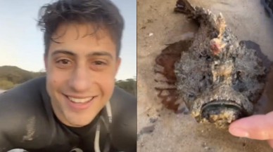 Dünyanın en zehirli balığıyla oynadı!