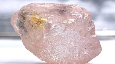 Son 300 yılın en büyük pembe elması keşfedildi!