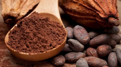 Kakaoyu ilk olarak hangi toplum kullandı? İnsan kurban ederken sıcak çikolata içiyorlardı