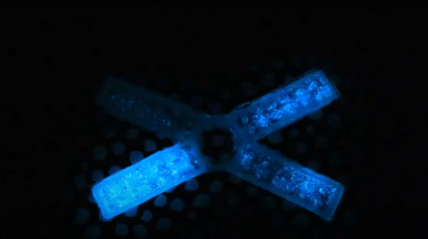 Ezildiğinde karanlıkta parlayabilen algli cihaz ürettiler