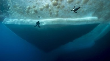 Biyologlar,  dünyanın ilk hayvanları hakkında yeni bulgular edindi!