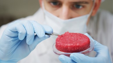 ABD'de yapay et satışına izin verildi: Yeni bir çağ mı başlıyor?