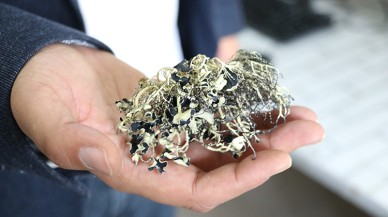 Türk bilim insanından önemli başarı:  Antarktika'da 10 yeni liken türü keşfetti