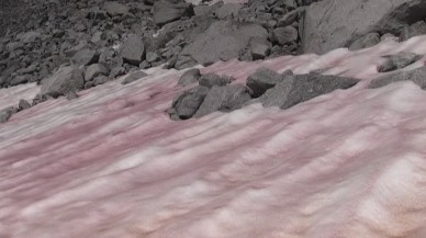 Pembe Kar nedir? Pembe renkli kar neden oluşur?