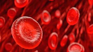 Yeni bir kan testi 'Alzheimer'ı 3.5 yıl daha erken tespit etti!