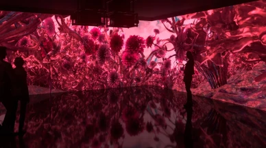 2023'te her yerde o rengi göreceğiz: 'Yılın Rengi' belli oldu