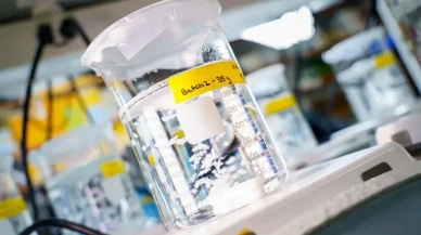 Bilim insanları,  dokuları içten dışa iyileştirebilen bir biyomateryal geliştirdi!