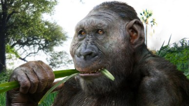 Kenya'da 3 milyon yıllık ilk insan aletleri keşfedildi!