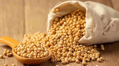 Veganlık,  çevreye daha çok mu zarar veriyor? Bilim insanları cevapladı