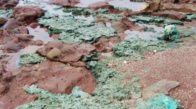 Plastik kirliliği bu adayı ele geçirdi! Kayaların üstüne yapıştılar