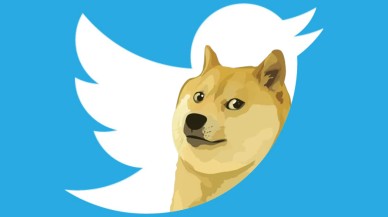 Elon Musk'ın Twitter logosunu uğruna değiştirdiği köpeğin olayı ne?
