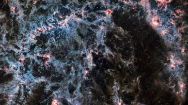 Webb Teleskobu yeni doğan yıldızları yakaladı!