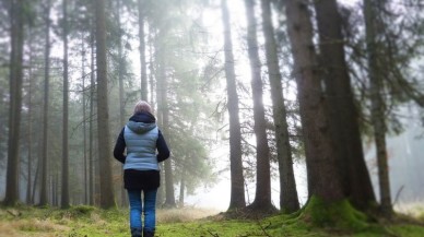 İklim değişikliği ile mücadelede yetersiz fide engeli!