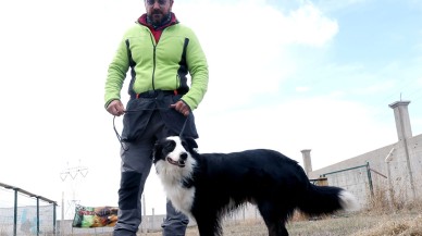 Türkiye’de bir ilk! Koronavirüs vakalarını tespit edebilen köpek yetiştirildi!