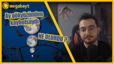 Eğer Ay bir anda kaybolsaydı neler olurdu? - VİDEO