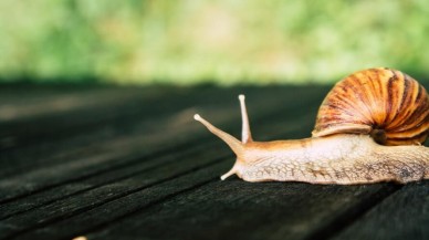 2020'nin en hızlı internetine sahip ülkeler! Türkiye sonunculuğa oynuyor..