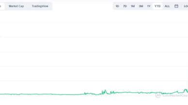 Elon Musk yine yaptı yapacağını! O kripto para uçuşa geçti..