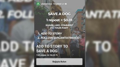Save a Dog kampanyası yalan mı?