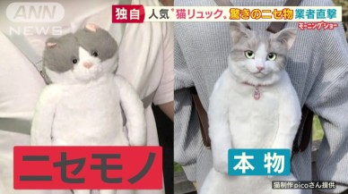 Biz bu modayı çok sevdik ama sahte kedi şekilli sırt çantalarına dikkat!