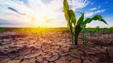 Çevre ve Şehircilik Bakanı: 2030- 2050'li yıllarda su savaşı çıkacak!